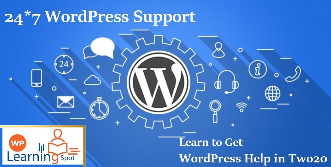 24*7 WordPress Support: Learn to Get WordPress Help in Two20